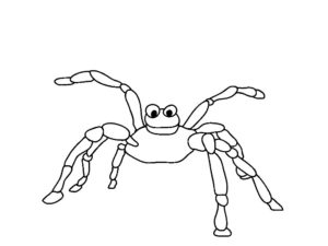 Паучки и пауки картинки раскраски (1)