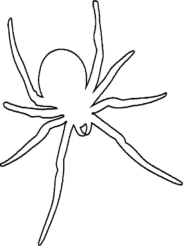 Паучки и пауки картинки раскраски (11)