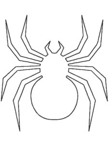 Паучки и пауки картинки раскраски (12)