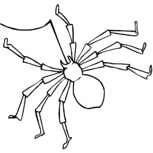 Паучки и пауки картинки раскраски (16)