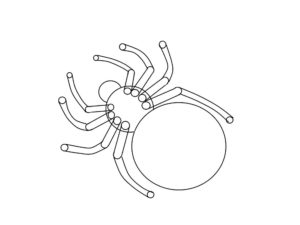 Паучки и пауки картинки раскраски (23)