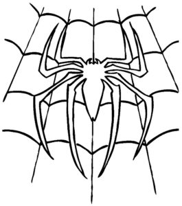 Паучки и пауки картинки раскраски (25)