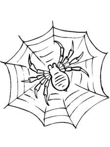 Паучки и пауки картинки раскраски (4)
