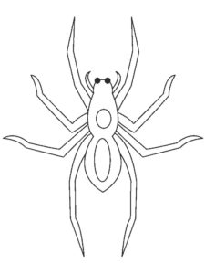 Паучки и пауки картинки раскраски (5)