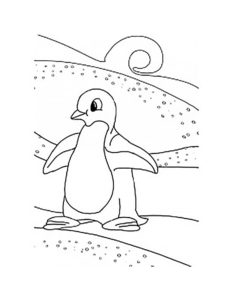Пингвин картинки раскраски (11)