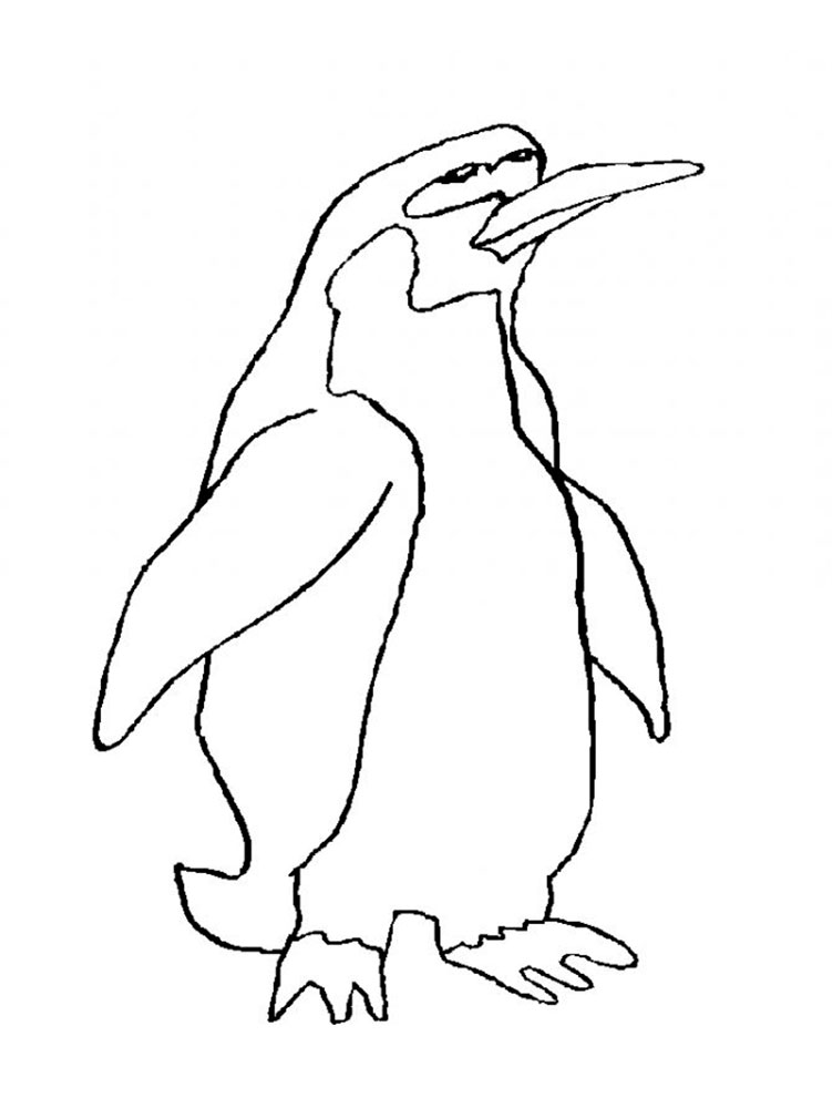 Пингвин картинки раскраски (19)