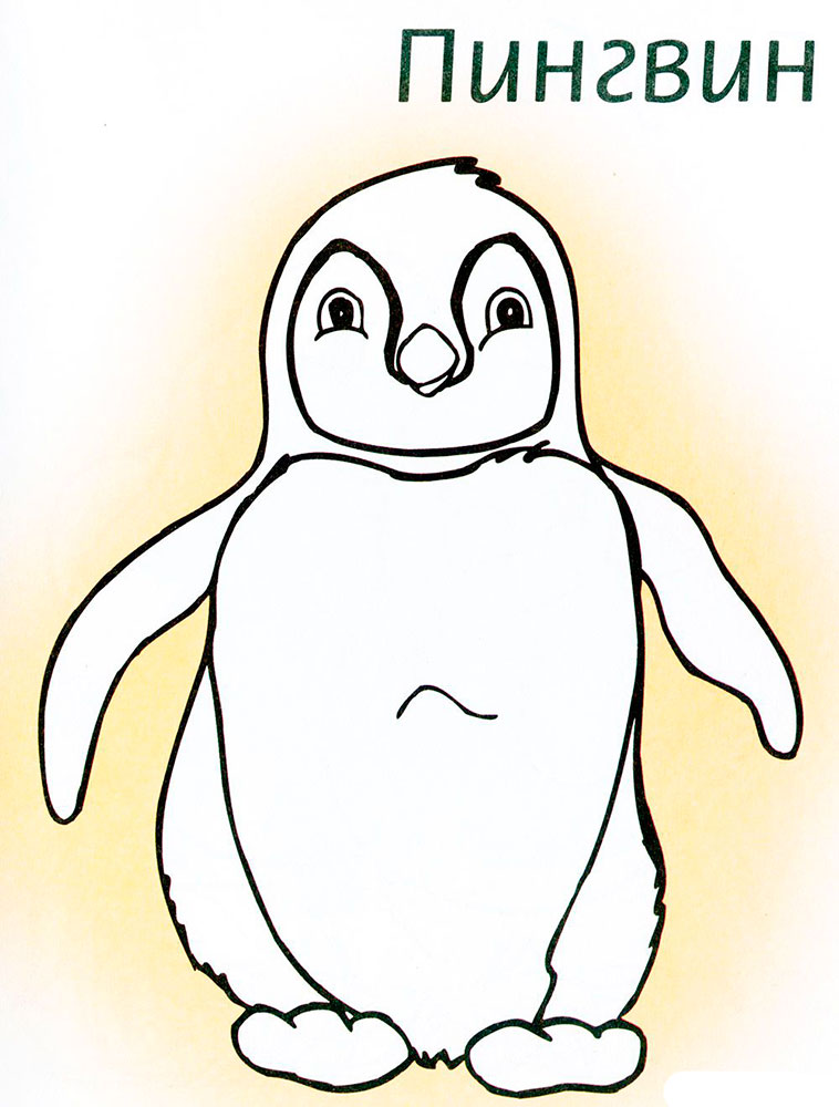 Пингвин картинки раскраски (21)