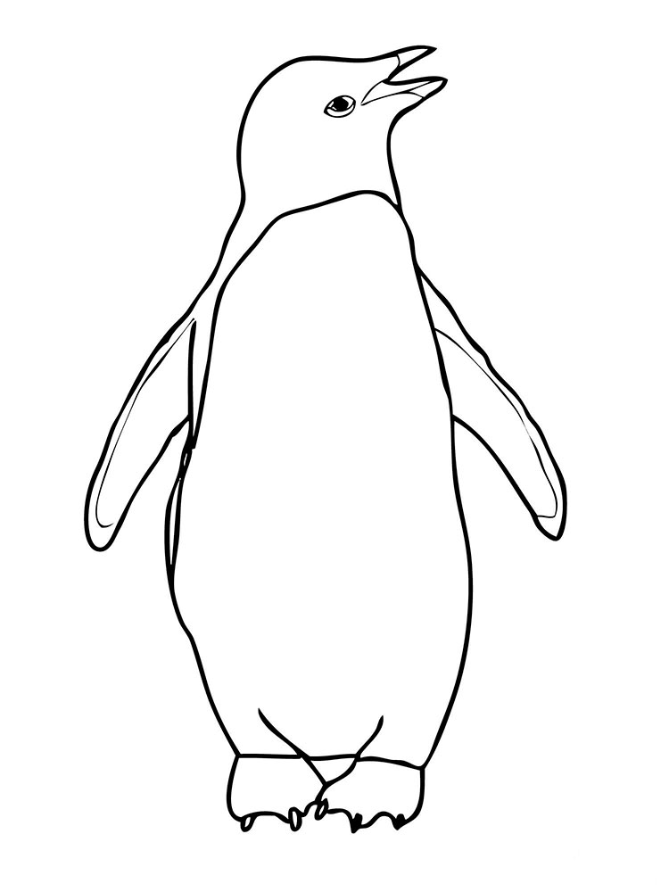Пингвин картинки раскраски (22)