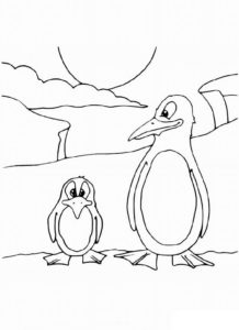 Пингвин картинки раскраски (23)