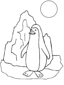 Пингвин картинки раскраски (3)