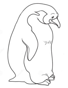 Пингвин картинки раскраски (30)
