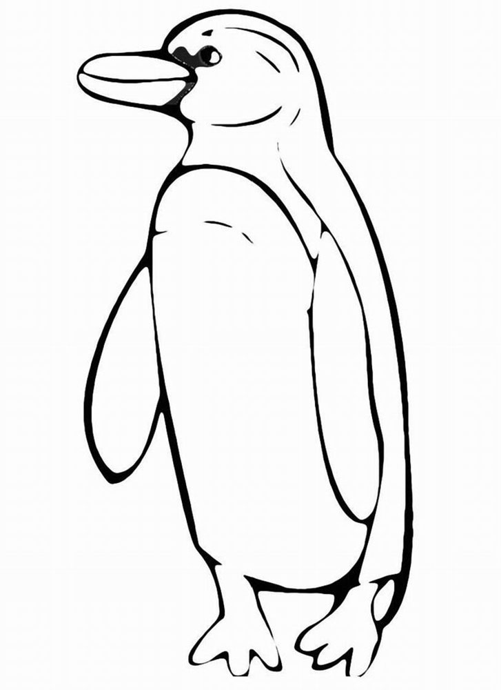 Пингвин картинки раскраски (35)