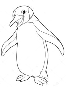 Пингвин картинки раскраски (37)