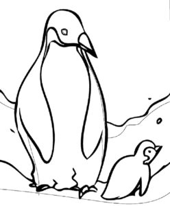 Пингвин картинки раскраски (43)