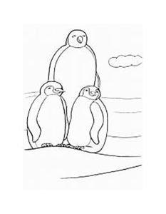 Пингвин картинки раскраски (48)