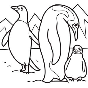 Пингвин картинки раскраски (51)