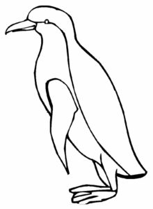 Пингвин картинки раскраски (58)