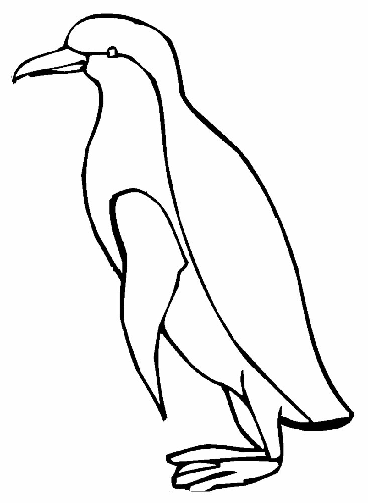 Пингвин картинки раскраски (58)