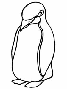 Пингвин картинки раскраски (59)