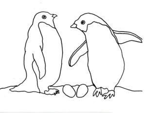 Пингвин картинки раскраски (67)