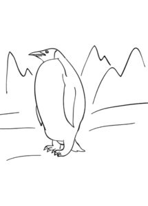 Пингвин картинки раскраски (68)