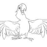 Попугай ара картинки раскраски (13)