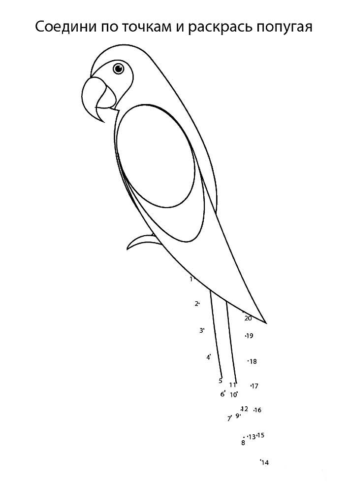 Попугай ара картинки раскраски (3)