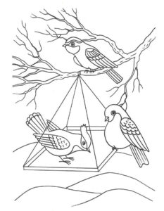 Птицы зимой картинки раскраски (3)