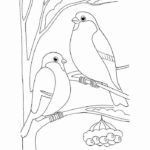 Птицы зимой картинки раскраски (5)