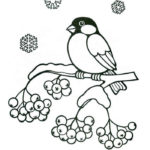 Птицы зимой картинки раскраски (8)