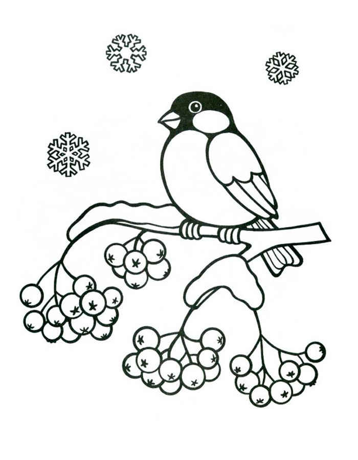 Птицы зимой картинки раскраски (8)