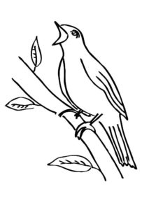 Птицы соловей картинки раскраски (1)