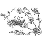 Птицы соловей картинки раскраски (11)