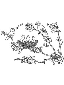 Птицы соловей картинки раскраски (11)