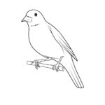 Птицы соловей картинки раскраски (13)