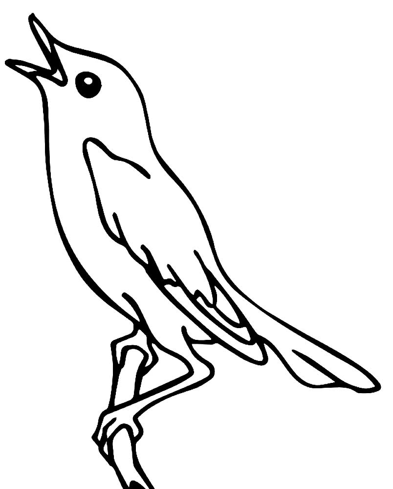 Птицы соловей картинки раскраски (2)