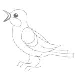 Птицы соловей картинки раскраски (4)