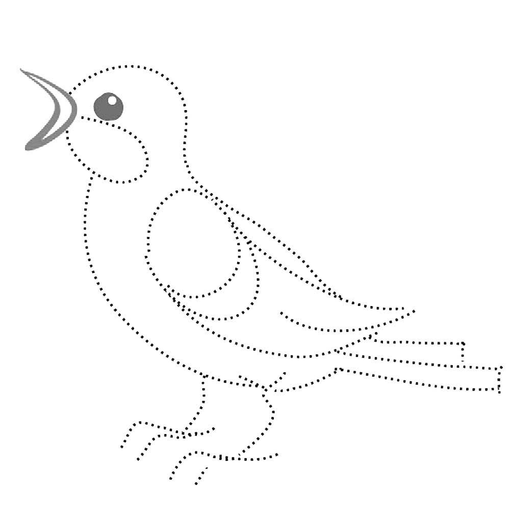 Птицы соловей картинки раскраски (4)