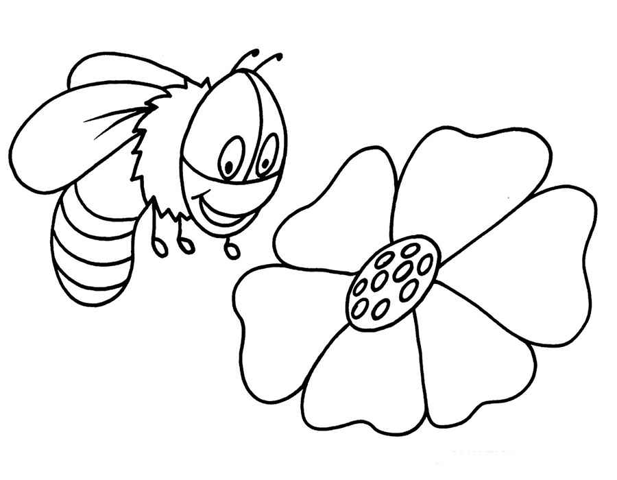 Пчела картинки раскраски (8)