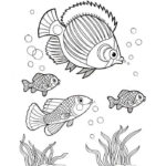 Рыбки картинки раскраски (10)