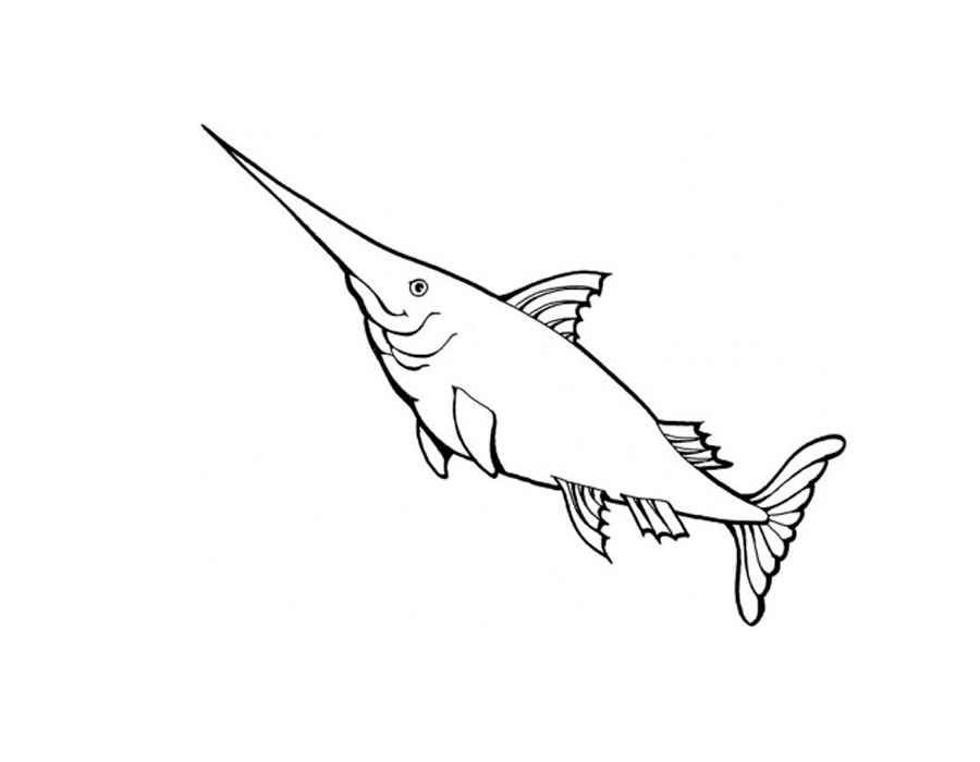 Рыбки картинки раскраски (11)