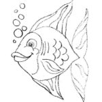 Рыбки картинки раскраски (3)