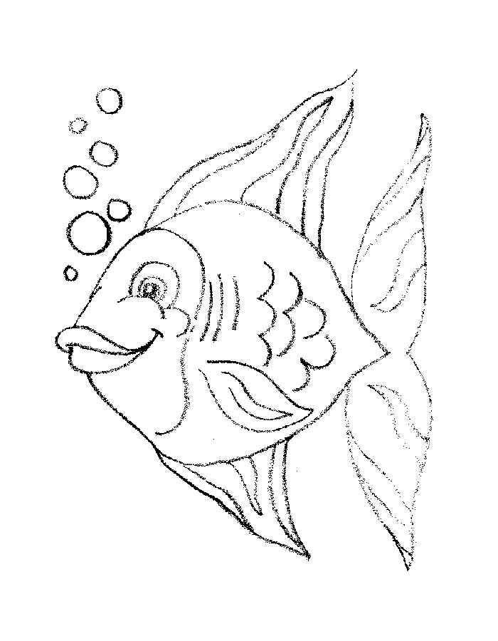 Рыбки картинки раскраски (3)