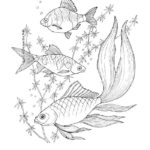 Рыбки картинки раскраски (4)