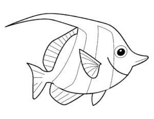 Рыбки картинки раскраски (7)