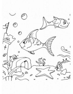 Рыбки картинки раскраски (9)