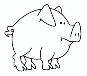 Свинья картинки раскраски (55)