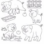Свинья картинки раскраски (68)