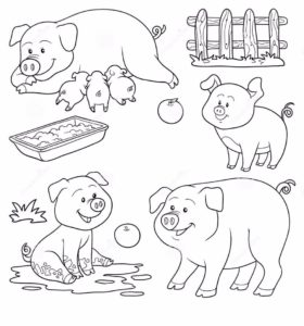 Свинья картинки раскраски (68)