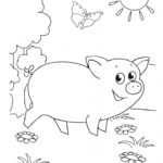 Свинья картинки раскраски (70)